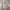 Berning Sho Y2K Avant Garde Casual shirt Pria gray photo 1