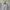 Berning Sho Y2K Avant Garde Casual shirt Pria gray photo 2