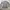 Casual Formal shirt Pria gray photo 1