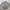 Casual Formal Shirt Pria Gray
