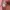 Nike Streetwear Y2K Sneakers Wanita pink photo 6