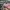 Adidas Streetwear Sportswear Sneakers Wanita pink photo 4