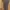 Pakaian adat Pakaian Nasional Maxi dress Wanita brown photo 1