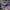 Adidas Streetwear Sportswear Sneakers Wanita purple photo 4