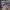 Adidas Streetwear Sportswear Sneakers Wanita purple photo 1