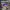 Adidas Streetwear Sportswear Sneakers Wanita Purple
