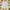 VANS Streetwear Skater Short Pria white photo 4