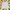 VANS Streetwear Skater Short Pria white photo 3