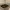 Burberry Vintage Luxury Bag Pria tan brown photo 6