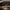 Burberry Vintage Luxury Bag Pria tan brown photo 7