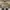 Burberry Vintage Luxury Bag Pria tan brown photo 1