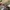 Burberry Vintage Luxury Bag Pria tan brown photo 5