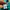 Champion Streetwear Sportswear Sweatpants & Joggers Pria green blue photo 7