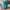 Champion Streetwear Sportswear Sweatpants & Joggers Pria green blue photo 3