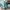 Champion Streetwear Sportswear Sweatpants & Joggers Pria green blue photo 2