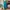 Champion Streetwear Sportswear Sweatpants & Joggers Pria green blue photo 1
