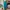 Champion Streetwear Sportswear Sweatpants & Joggers Pria Green Blue