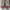 Louis Vuitton Luxury Sneakers Pria white red photo 4