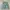 Burberry Sportswear Casual Harrington jacket Pria green photo 1