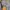 Burberry Sportswear Casual Harrington jacket Pria green photo 3