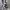 Adidas Sportswear Casual Track jacket Pria gray photo 5