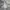 Adidas Sportswear Casual Track jacket Pria gray photo 3
