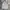 Adidas Sportswear Casual Track jacket Pria gray photo 1