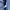Sportswear Casual Track jacket Pria navy photo 4