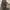 EDWIN Vintage Y2K Jeans Pria gold gray photo 4