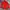 Berghaus Gorpcore Track jacket Pria red photo 2