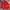 Berghaus Gorpcore Track Jacket Pria Red