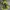 Columbia Gorpcore Trench coat Pria green khaki photo 4