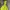 Columbia Gorpcore Trench coat Pria green khaki photo 2