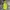Columbia Gorpcore Trench coat Pria green khaki photo 1
