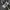 Columbia Gorpcore Trench coat Pria green khaki photo 6