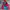 Helly Hansen Gorpcore Trench coat Pria red pink photo 2
