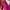 Casual T-shirt Wanita pink photo 2
