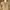 Vintage Casual dress Wanita tan photo 2