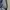 Angel Blue Vintage Y2K Flare pants Wanita black blue photo 5