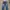 Angel Blue Vintage Y2K Flare pants Wanita black blue photo 4