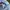 EDWIN Grunge Goth Denim jacket Pria blue photo 7