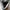 Adidas Skater Sneakers Pria gray photo 6