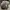 Adidas Skater Sneakers Pria gray photo 4