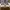 Adidas Skater Sneakers Pria gray photo 1