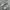 Asics Streetwear Sportswear Sneakers Pria silver photo 1