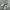 Asics Streetwear Sportswear Sneakers Pria Silver
