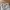 Montbell Streetwear Gorpcore Tracksuit Pria tan photo 8