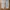 Montbell Streetwear Gorpcore Tracksuit Pria tan photo 5