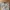 Montbell Streetwear Gorpcore Tracksuit Pria tan photo 6