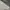 Y2K Hoody Pria gray photo 2